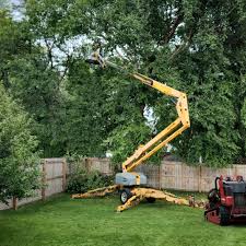 Best Tree Risk Assessment  in East Bernard, TX