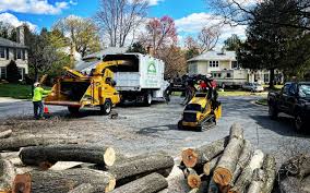 How Our Tree Care Process Works  in  East Bernard, TX